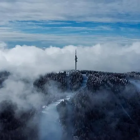 Line Apartamento Pamporovo