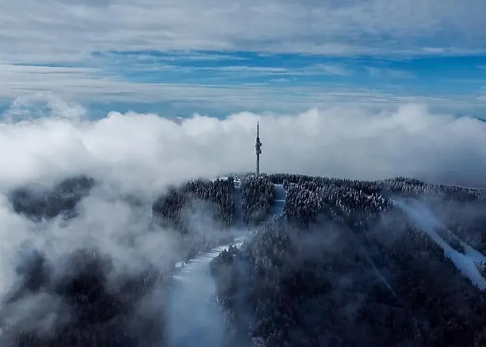 Line 公寓 潘波洛沃